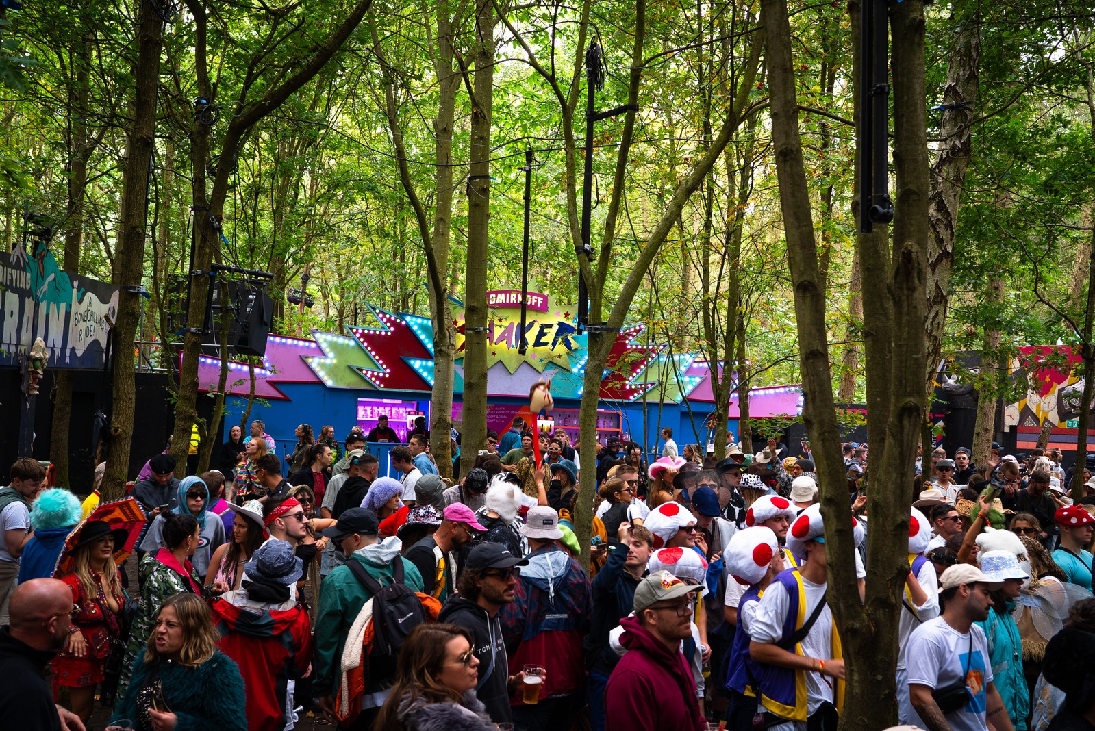 Immersive festival crowd